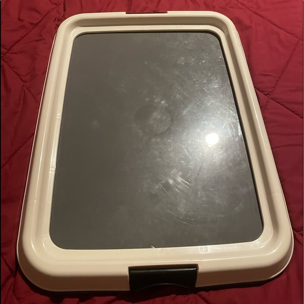 Pee pad holder